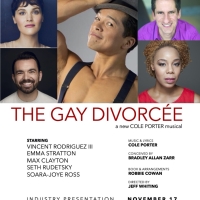 New Cole Porter Musical THE GAY DIVORCEE in Development Starring Vincent Rodriguez II Photo
