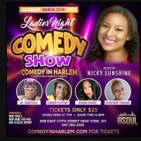 Comic Nicky Sunshine Hosts Ladies Night Showcase at Comedy In Harlem Photo
