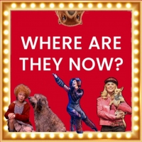 BWW Blog: Where Are They Now? Video