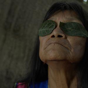 THE HUMMINGBIRD PAINTS FRAGRANT SONGS to Open DOC NYC 2026 Photo