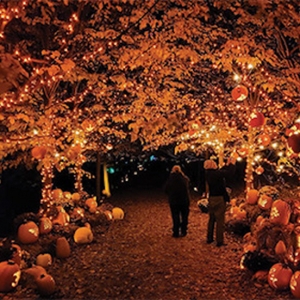 BTG to Offer Discounted Tickets for THE WEIR Ticketholders To Naumkeag's Pumpkin Show Photo