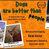 BWW Interview: Playwright and Actor Sarah Hunter on Why DOGS ARE BETTER THAN PEOPLE Video