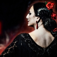 Ensemble Español Spanish Dance Theater Returns To The North Shore Center With…