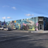 The Museum Of Graffiti, A New Contemporary Art Museum, To Open In Miami Photo