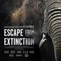American Humane Announces U.S. Theatrical Run for Inaugural Feature Length…
