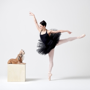 Dance For Paws To Host GRACE TO THE RESCUE Inaugural Gala To Benefit Homeless Animals  Photo