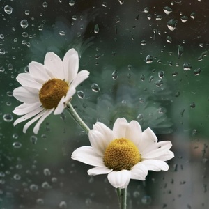 Student Blog: April Showers Bring Late Hours Photo