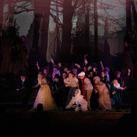 BWW Review: INTO THE WOODS JR. at Florida Repertory Theatre