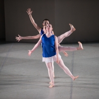 North Shore Civic Ballet Seeks Treasures and Volunteers for Annual Online Holiday Auc