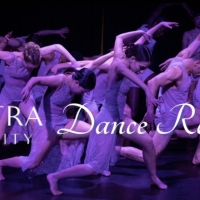 Amanda Selwyn Dance Theatre Receives Hofstra University Dance Residency Photo