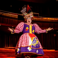 Marlowe Theatre in Canterbury Announces Socially Distanced NURSE NELLIE SAVES PANTO Photo