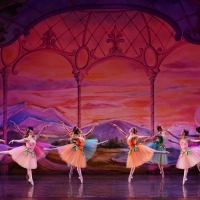 American Repertory Ballet's THE NUTCRACKER Paused For 2020 Photo