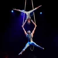 Cirque du Soleil to Return to Frisco With OVO Photo