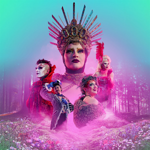 EDINBURGH 2026: Review: ACID’S REIGN, Pleasance Courtyard