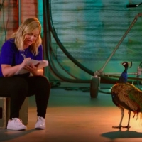 VIDEO: NBC Releases 'Peacock Knows Comedy' Featurette Video