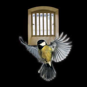 La MaMa Presents PRISONER AT THE WORLD'S END by R.Johns
