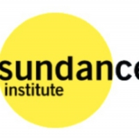 Sundance Institute Board Of Trustees Announces Board Changes Photo