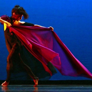 Carla Maxwell, Former Artistic Director Of Limón Dance Company, Has Passed Away Photo