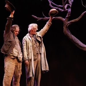 Review: McCamus and Gross are Excellent in Stratford's WAITING FOR GODOT Photo
