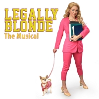 Gainesville Theatre Alliance Presents LEGALLY BLONDE: THE MUSICAL in An Era Of Female Video