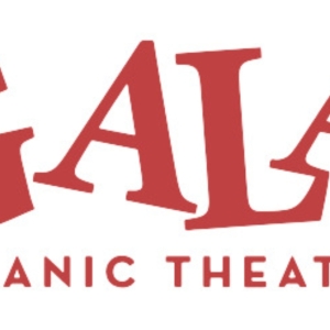 GALA Theatre Presents THE PALACIOS SISTERS LAS HERMANAS PALACIOS Photo