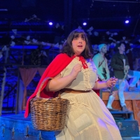 BWW Review: Theater West End's Reimagined INTO THE WOODS Finds Magic in a Forest without Trees Article