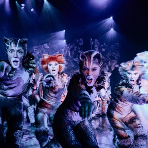 Previews: CATS torna al Teatro Arcimboldi Milano Video