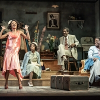 Review: BLUES FOR AN ALABAMA SKY, National Theatre Video