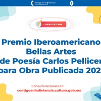 Abren Convocatoria Para El Premio Iberoamericano Bellas Artes De Poesía Carlos Pelli Photo