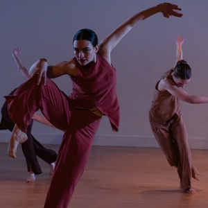 Chicago Movement Collective and Winifred Haun & Dancers to Present PERSISTENT SPRING Photo