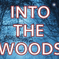 Arden Theatre Company Announces New Production of Sondheim's INTO THE WOODS Photo