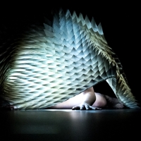 Assembly Festival and Dance Base Reveal Programme For This Year's Fringe