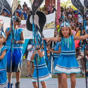 Miami Broward Junior Carnival Set For Next Month Photo