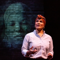 Review: FIRES IN THE MIRROR: CROWN HEIGHTS, BROOKLYN AND OTHER IDENTITIES at Theater  Photo