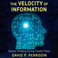 'The Velocity Of Information,' By David P. Perrodin, Ph.D Now Available As An Audiobo Photo