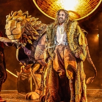 BWW Review: THE LION, THE WITCH & THE WARDROBE, King's Theatre, Edinburgh Video