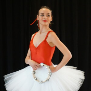 North Shore Civic Ballet to Seek Donations for Annual Holiday Auction Photo