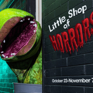 LITTLE SHOP OF HORRORS To Open At Pioneer Theatre Company Photo