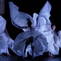 Jody Sperling/Time Lapse Dance Returns To The Stage With Five Onstage Shows In Philad Photo