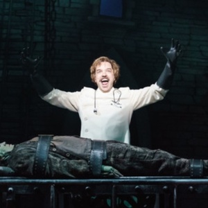 VERY YOUNG FRANKENSTEIN Lands Full Series Order for Mel Brooks Reimagining Photo