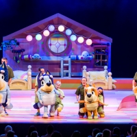 Review | BLUEY'S BIG PLAY: THE STAGE SHOW Photo