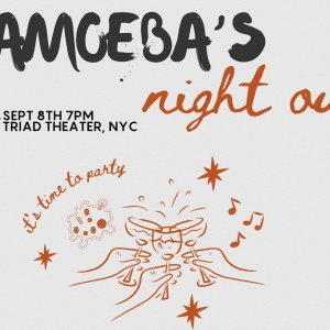Amoeba Productions Hosts Fundraiser AMOEBA'S NIGHT OUT at The Triad Theater Photo