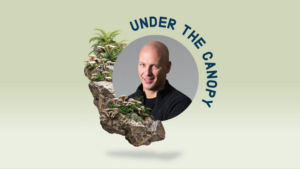 UNDER THE CANOPY to Open With Melbourne Chamber Orchestra and Accordionist James Crab Photo