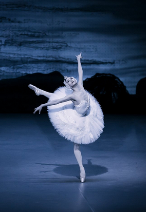 SWAN LAKE to Play at Seoul Arts Center 