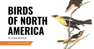 Review: BIRDS OF NORTH AMERICA at Thrown Stone Theatre Company 