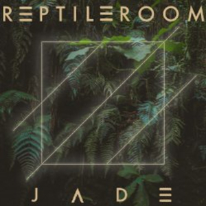 Electro-Pop Trio Reptile Room Shares Colorful CONTROL Video With Medium 
