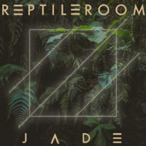 Electro-Pop Trio Reptile Room Shares Colorful CONTROL Video With Medium Image