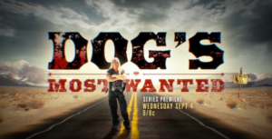 New Unscripted Series DOG'S MOST WANTED to Premiere on WGN America  Image