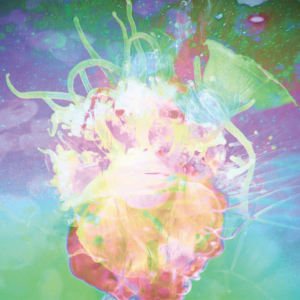 Katie Dey Releases Video For DISSOLVING Image