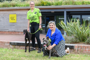 Jodie Prenger Visits Birmingham Dog's Home  Image